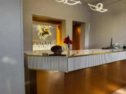 Pegasus Hotel And Suites