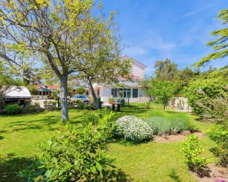 Apartment-Rooms Preka Hoteles en Palit