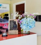 Elkton Lodge - Newark - Elkton University Gateway - 2-Star