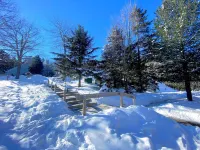 RB8 Luxury Bretton Woods Ski-in