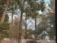 On Cloud Resort Hotels in Murree