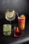 Park Plaza Moinhos Porto Alegre - bar