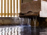 Natural Hot Spring Ariston Hotel Oita - Hot Springs