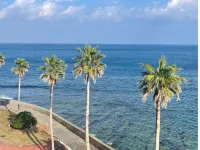 Aoshima Cinqmale - Ocean View