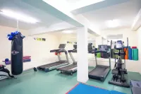 Tsg Emerald View Hotel and Spa - Gym