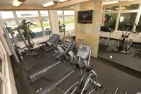 Holiday Inn & Suites WEST EDMONTON by IHG - Gym