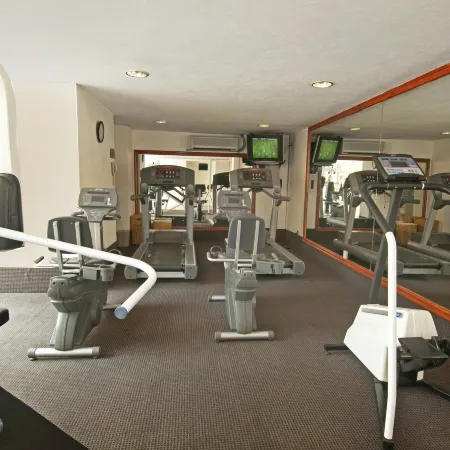 Fiesta Inn Toluca Tollocan