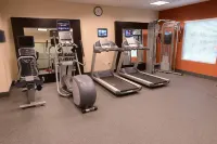 Hampton Inn & Suites Albany at Albany Mall - Gym