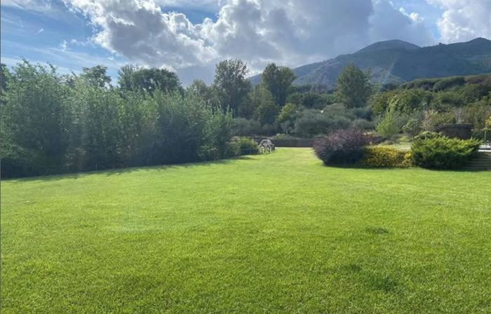 La Tenuta il Castagno
