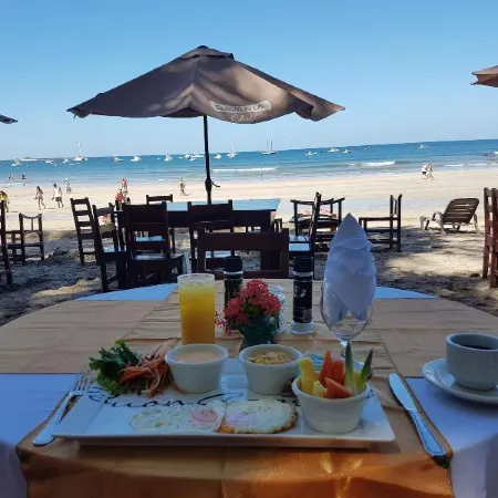 Hotel la Palapa