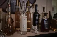 麥克斯航空別墅及公寓 - 酒吧