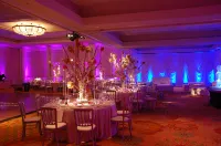Hilton Chicago Oak Brook Hills Resort & Conference Center - servizio colazione
