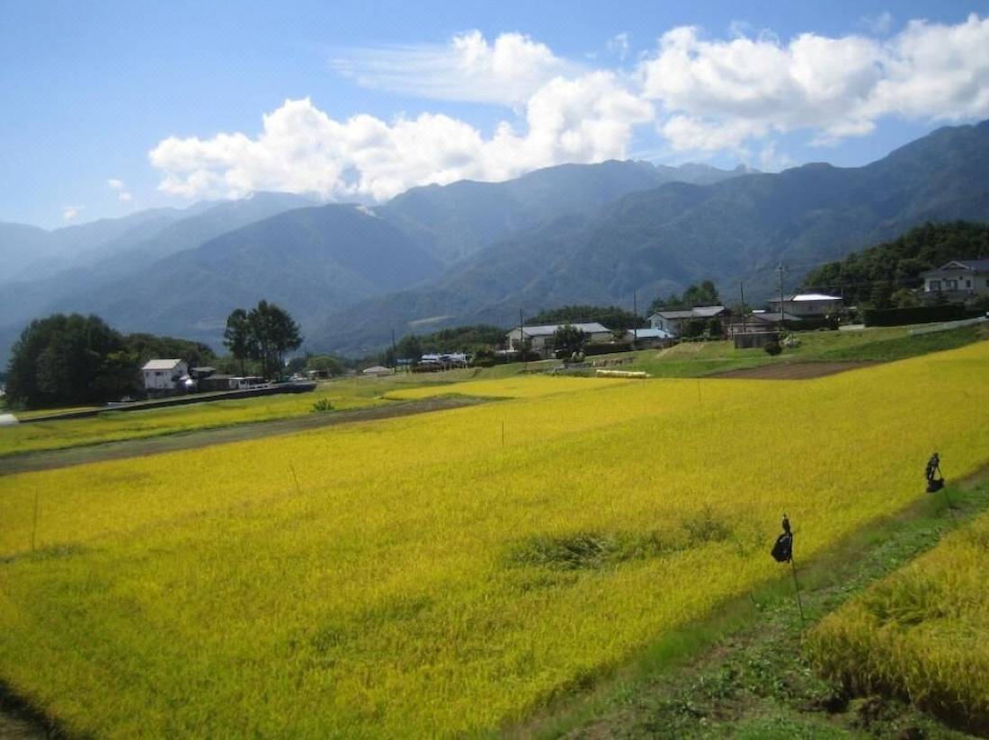 ペンションフィールド 北杜 を宿泊予約 22年安い料金プラン 口コミ 部屋写真 Trip Com