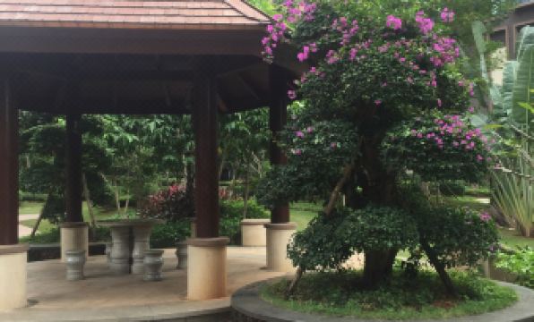 Lady's Luxurious Beautiful House Apartment (Changbin West First Street)