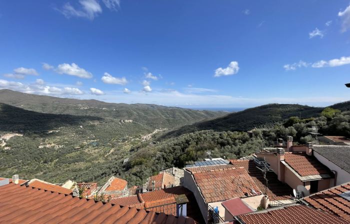 Superba Vista