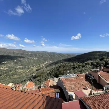 Superba Vista