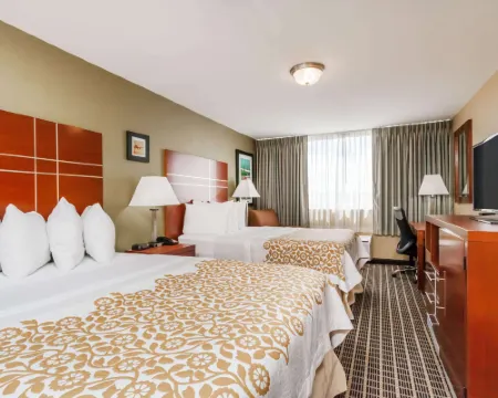 Days Inn by Wyndham Windsor Locks / Bradley Intl Airport Hotels in Windsor Locks