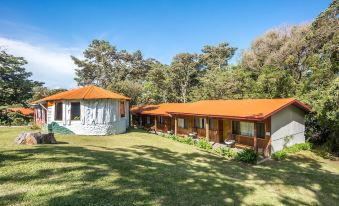 Socialtel Monteverde