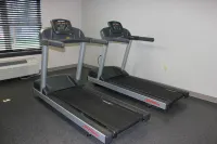 Country Inn & Suites by Radisson, Roanoke, VA - Træningscentre