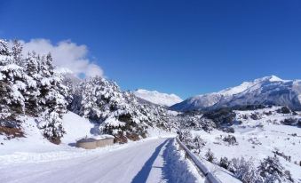 Au Coeur des Alpes