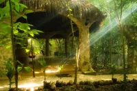 Reserva Ecologica Hacienda Cancun