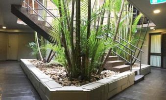 a courtyard with a large bamboo plant in the center , surrounded by a staircase and steps at Bankstown Motel 10
