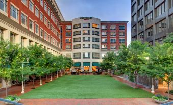 Courtyard Greenville Downtown