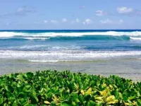 2417 at Oceanfront Resort Lihue Kauai Beach Drive Private Condo - Beach
