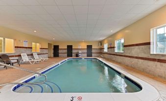 Comfort Inn and Suites Manheim