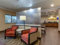 Comfort Inn & Suites Waterloo - Cedar Falls Hotels in Waterloo