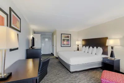 Best Western Kirkwood Inn Hotels near T.J. Maxx