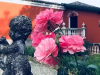 Charme of Villa Capannina - Wifi