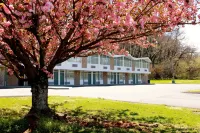 Colony House Motor Lodge - 2-Sterne