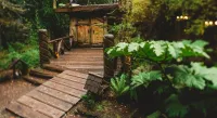 Huilo Huilo Montaña Mágica - Homestays