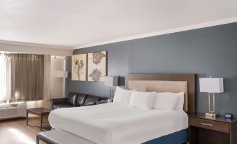 Best Western Mountain View Inn
