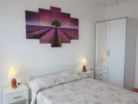 Borovina Hotels in Blato