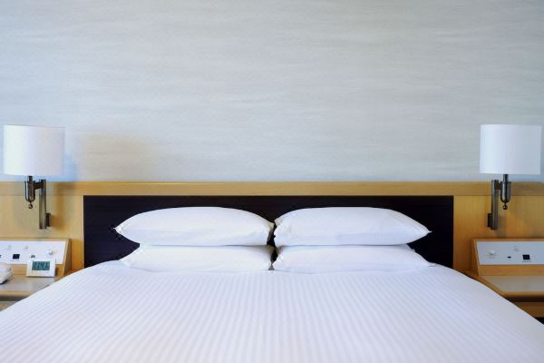 호텔 닛코 나리타(Hotel Nikko Narita)_5