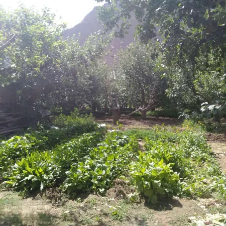 Yellow River Stone Forest Red Apple Ecological Garden Restaurant