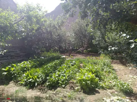 Yellow River Stone Forest Red Apple Ecological Garden Restaurant