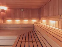 Hotel Strela by Mountain Hotels Hotels in Davos