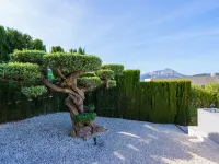 Villa Adonia