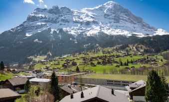 Chalet Alia and Apartments-Grindelwald by Swiss Hotel Apartments