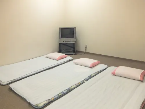 Natural Onsen Hostel Hidamari No Yu Hotels in Hida