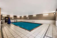 Quality Inn - Kolam Renang