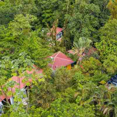 Tifakara Boutique Hotel & Birding Oasis Hotel Exterior