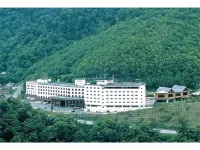 Hotel Taisetsu Onsen＆Canyon Resort