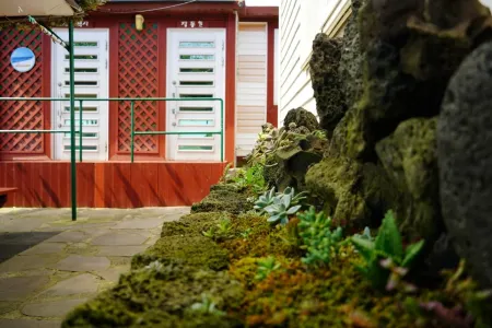 Jeju Udo Sarang Pension Отели рядом с достопримечательностью «Остров Удо»