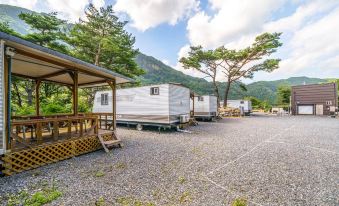 Danyang Pine Caravan Camping