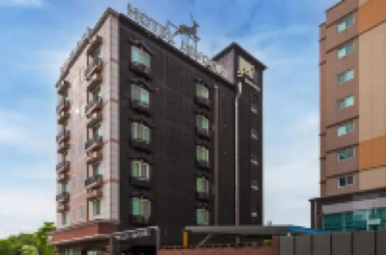 자우리 호텔 유성