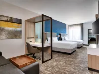 SpringHill Suites Phoenix Scottsdale Отели рядом с достопримечательностью «Папаго Парк»